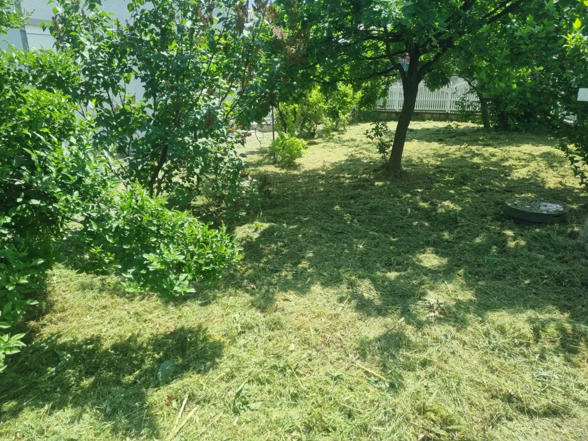Kosenje trave Lozovik - Galerija